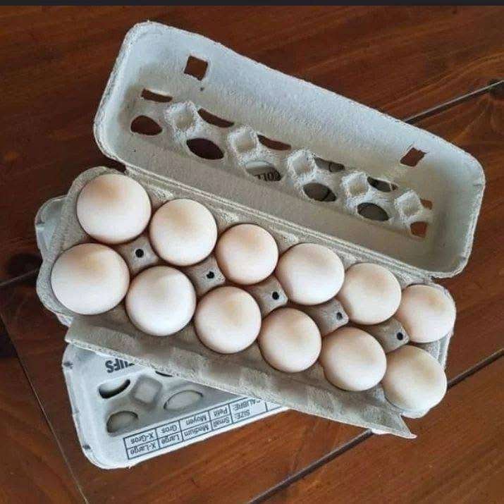 McRea Eggs - Image 2